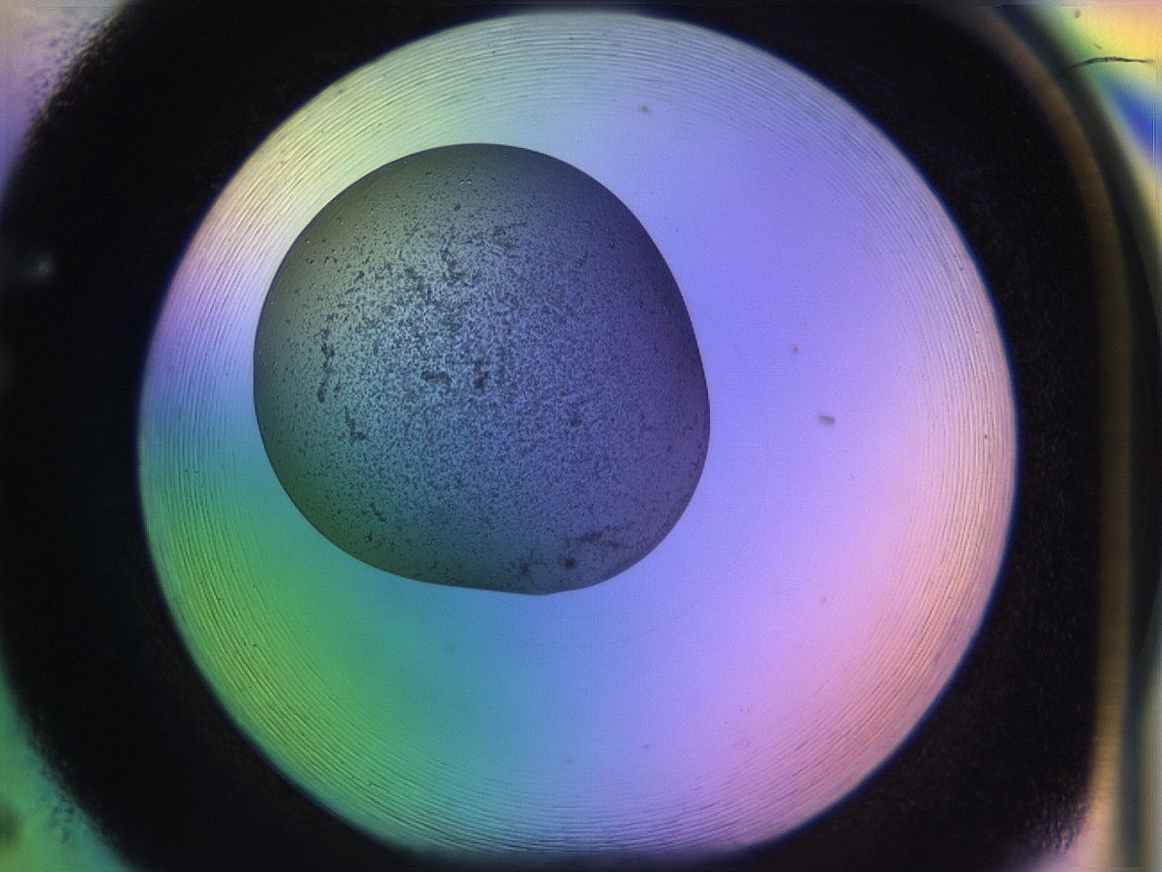 04uo_F5_ImagerDefaults_3.jpg
