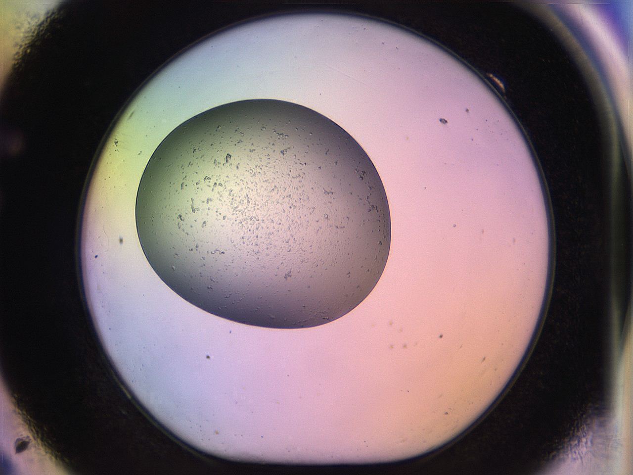 04uo_F9_ImagerDefaults_3.jpg