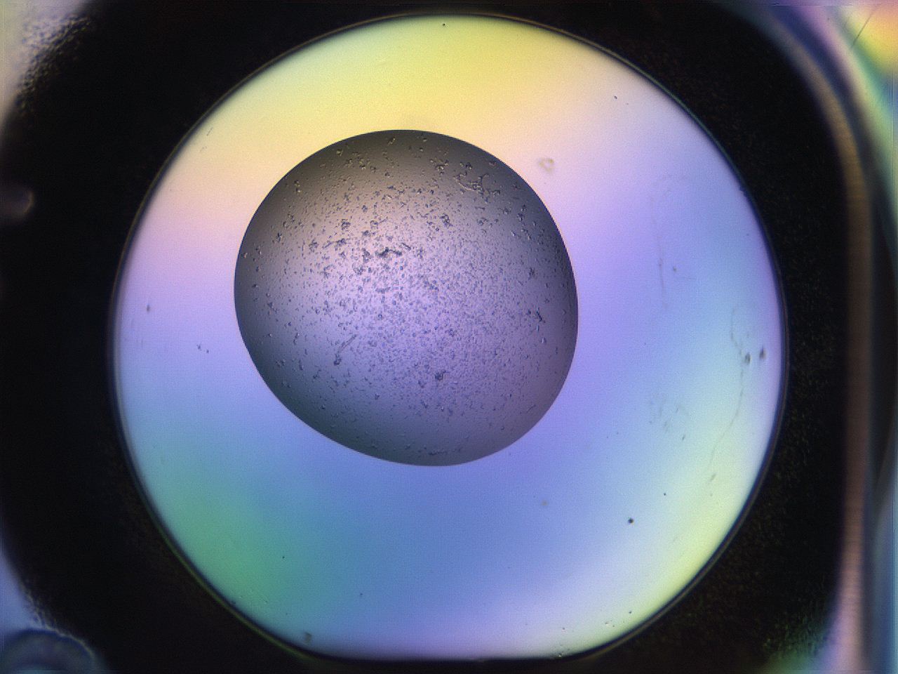 04uo_F10_ImagerDefaults_3.jpg