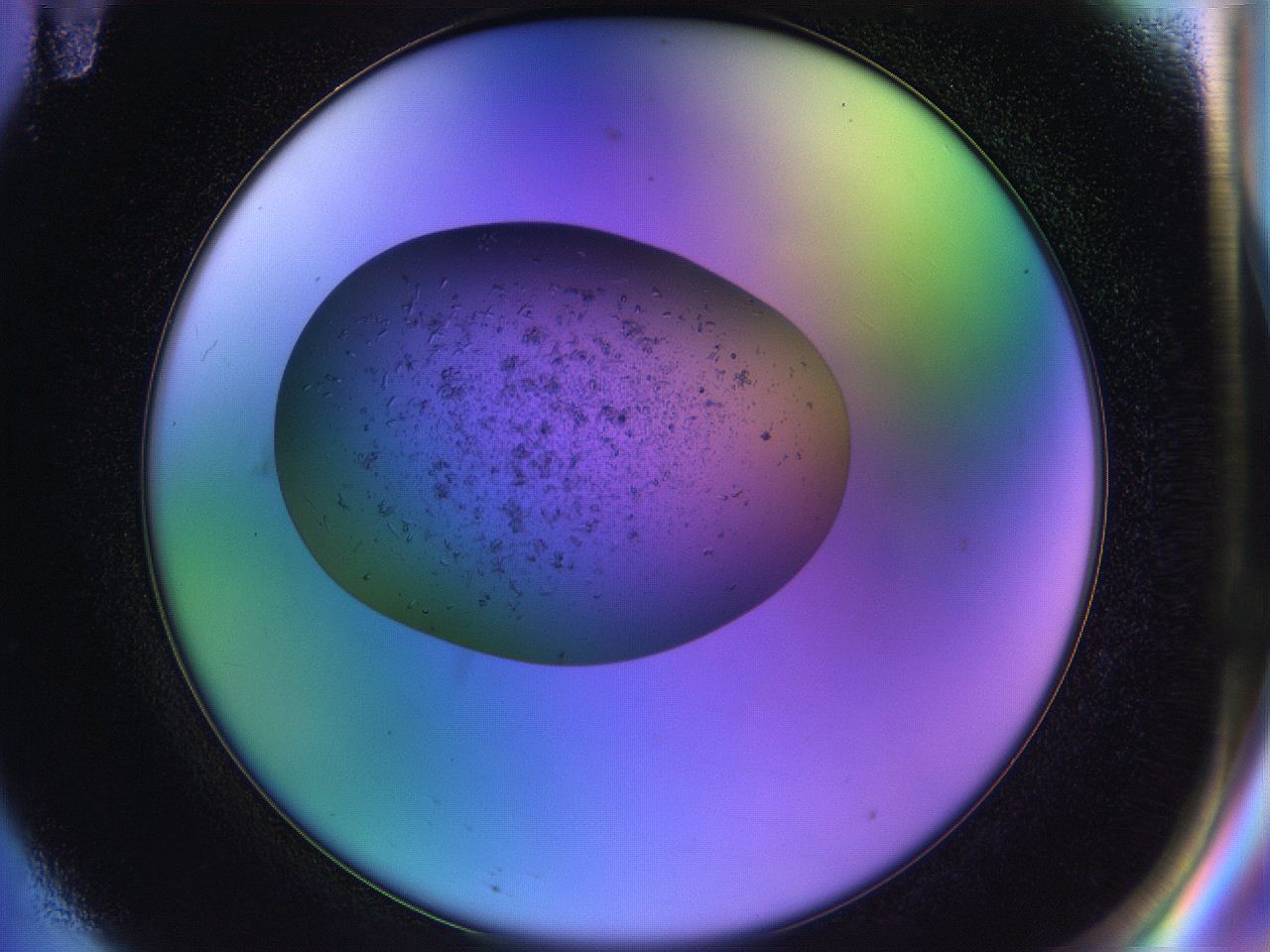 04uo_F11_ImagerDefaults_3.jpg