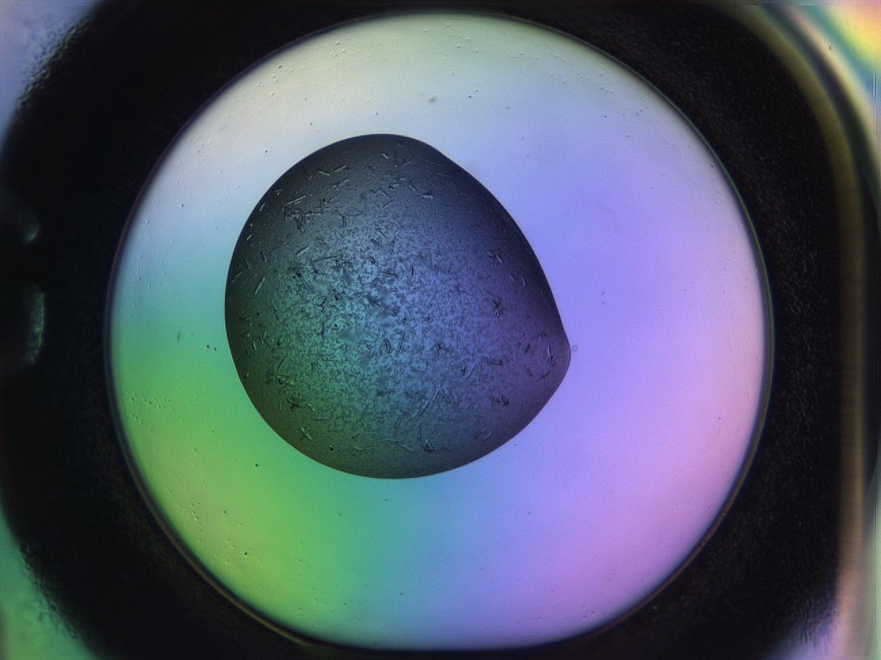 04uo_G1_ImagerDefaults_9.jpg