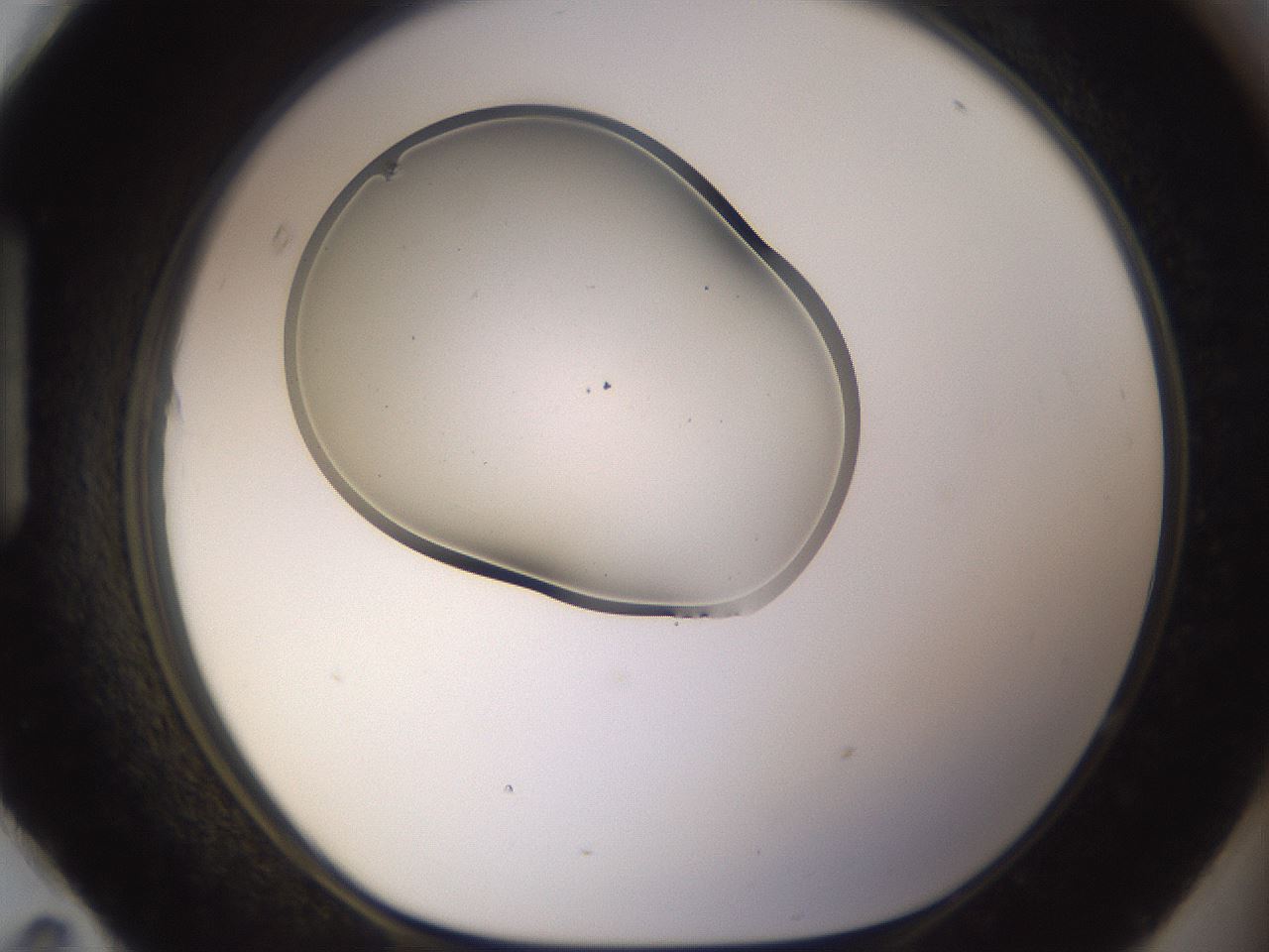 folderID267_plateID3267_batchID19548_wellNum95_profileID1_d1_r286923_ef.jpg