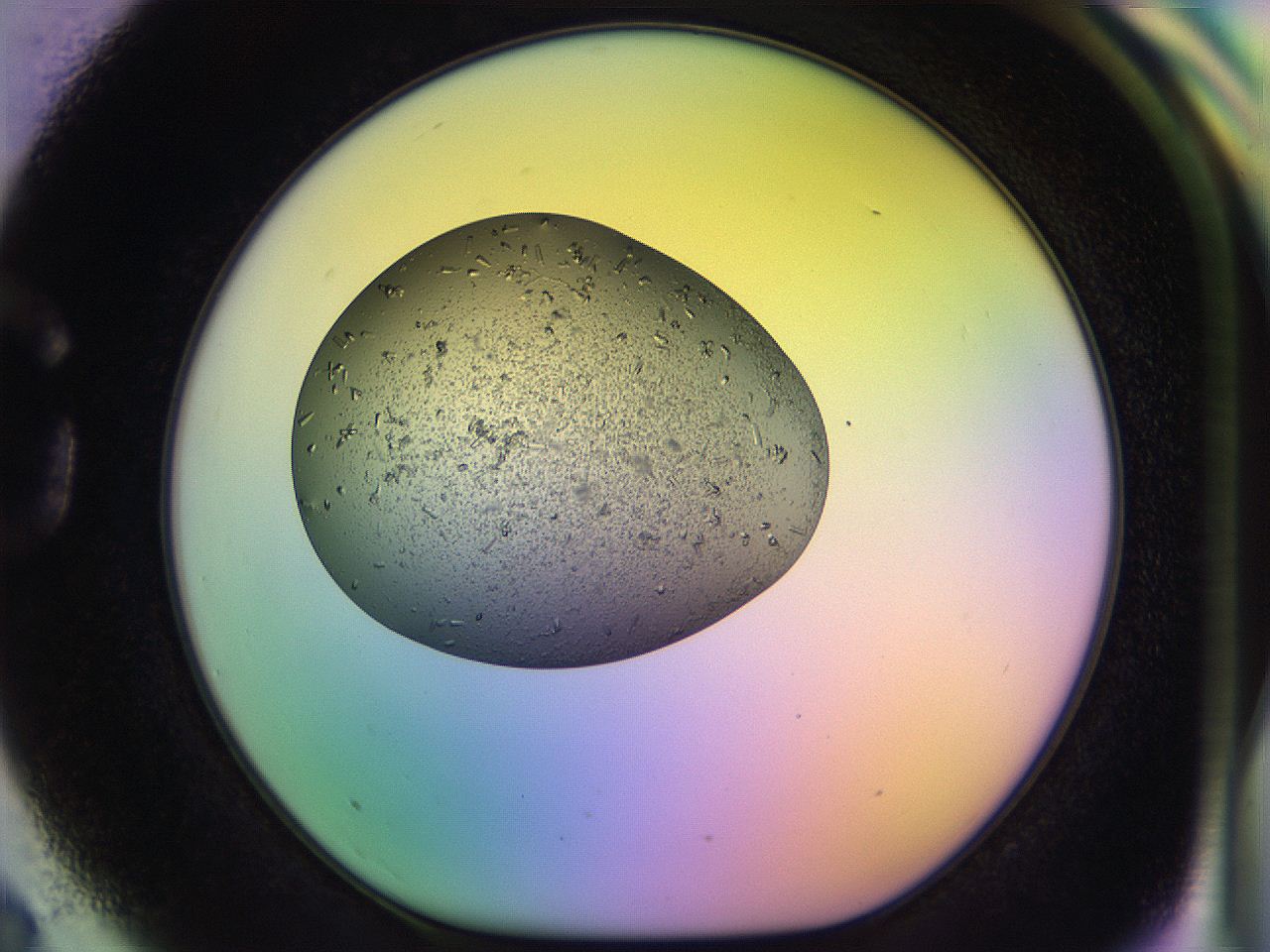04uo_G3_ImagerDefaults_9.jpg