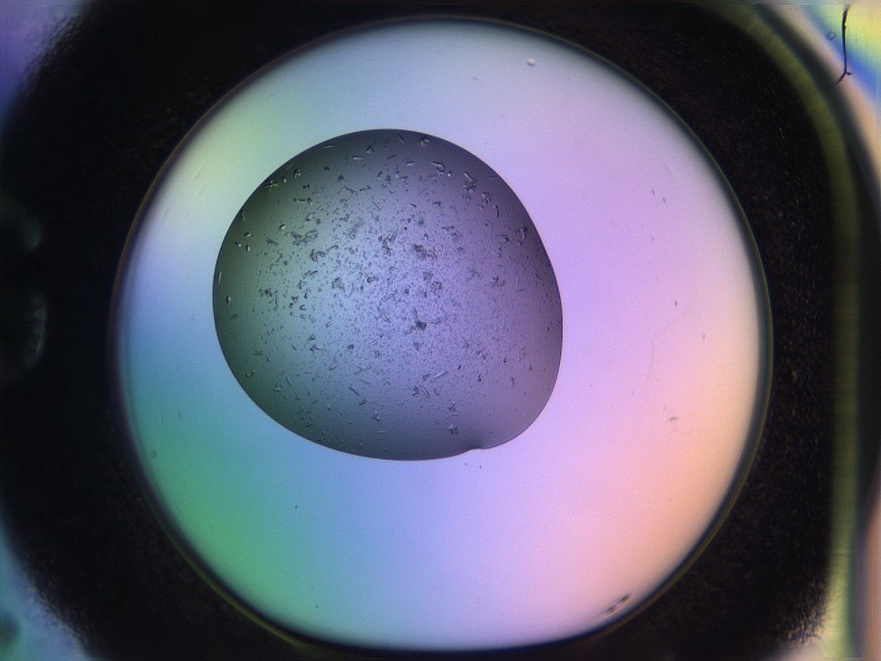 04uo_G5_ImagerDefaults_9.jpg
