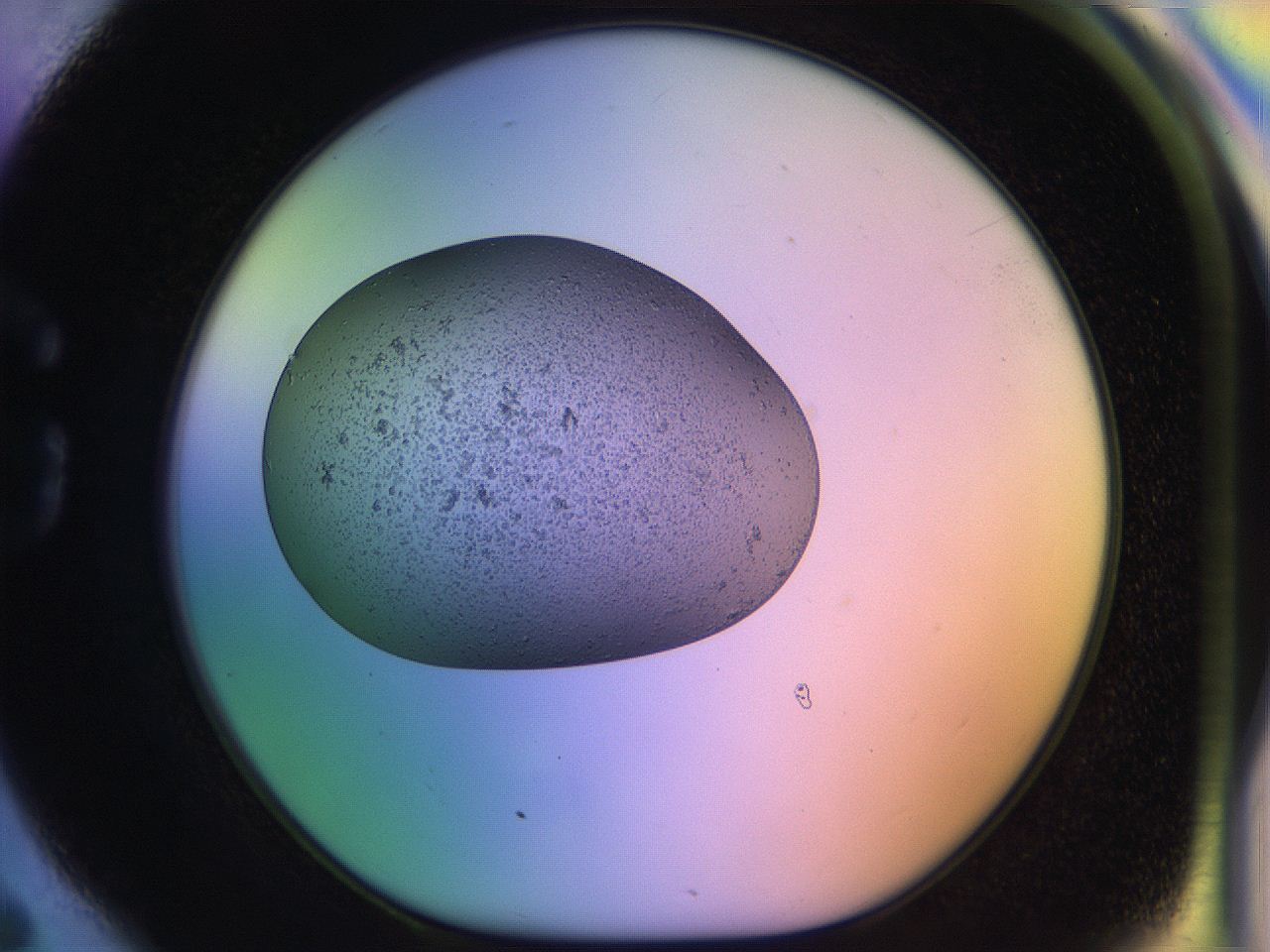 04uo_G6_ImagerDefaults_3.jpg