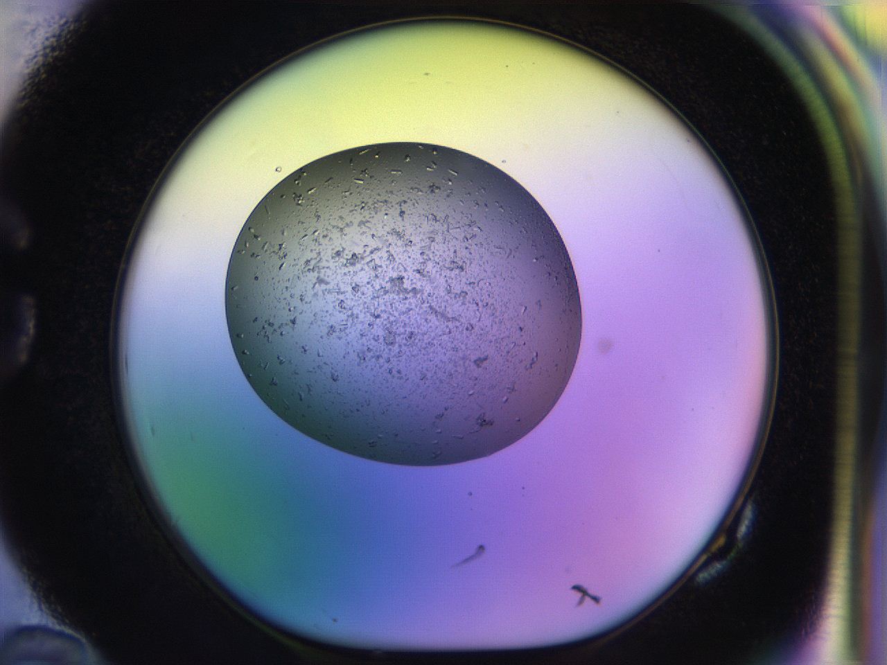 04uo_G10_ImagerDefaults_9.jpg