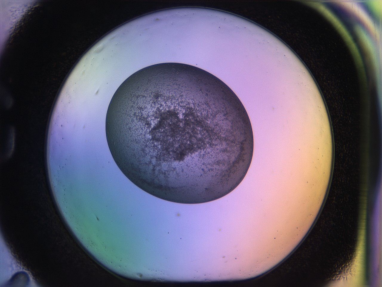 04uo_G11_ImagerDefaults_3.jpg