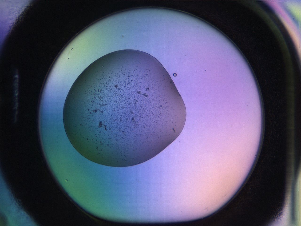 04uo_H4_ImagerDefaults_3.jpg