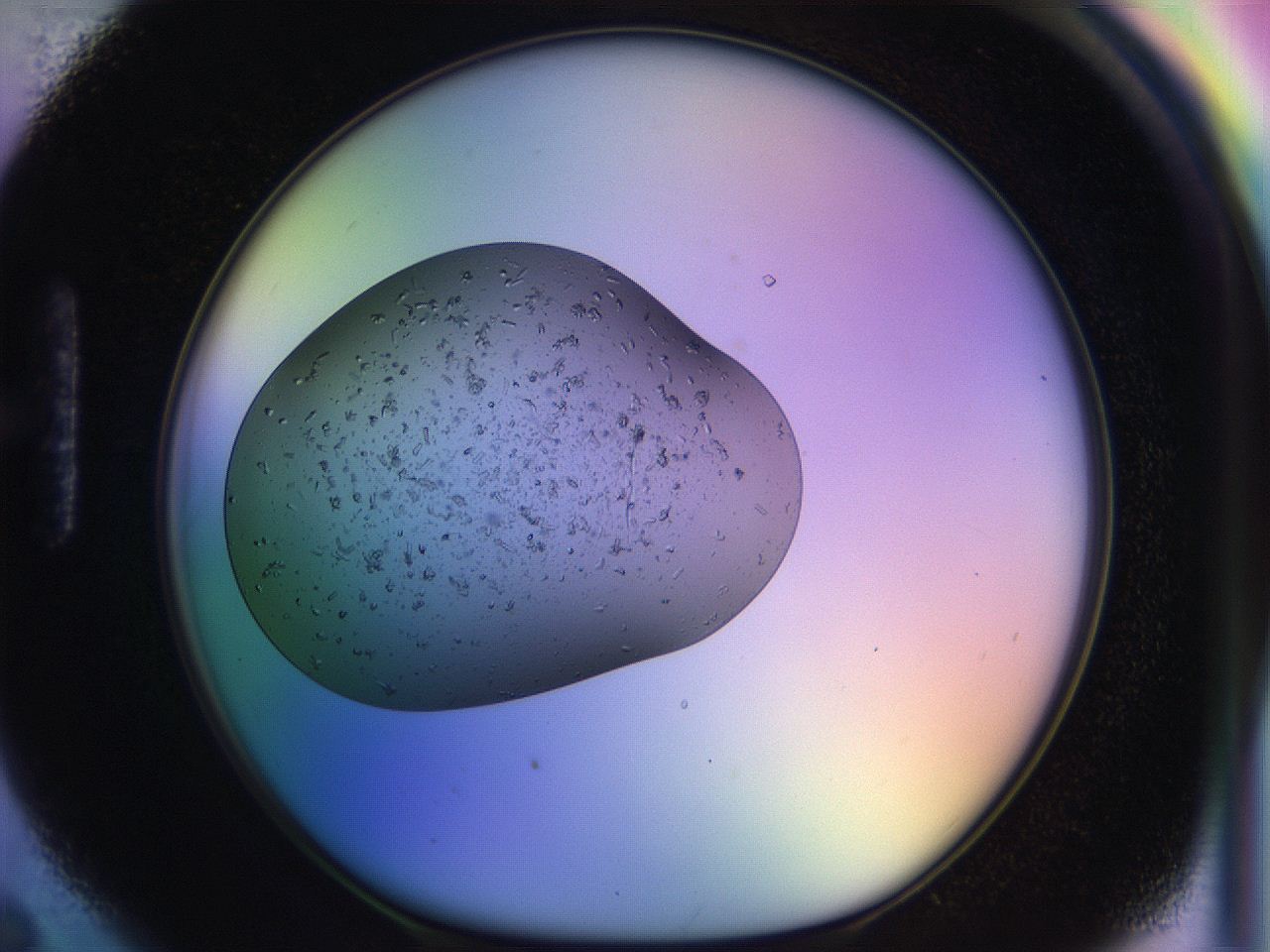 04uo_H6_ImagerDefaults_9.jpg