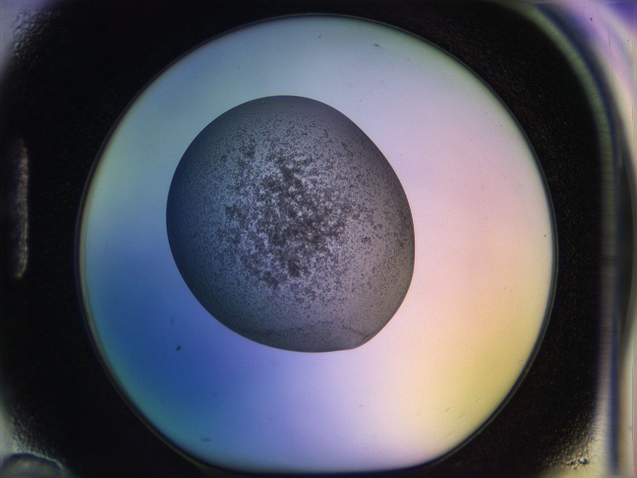 04uo_H10_ImagerDefaults_3.jpg
