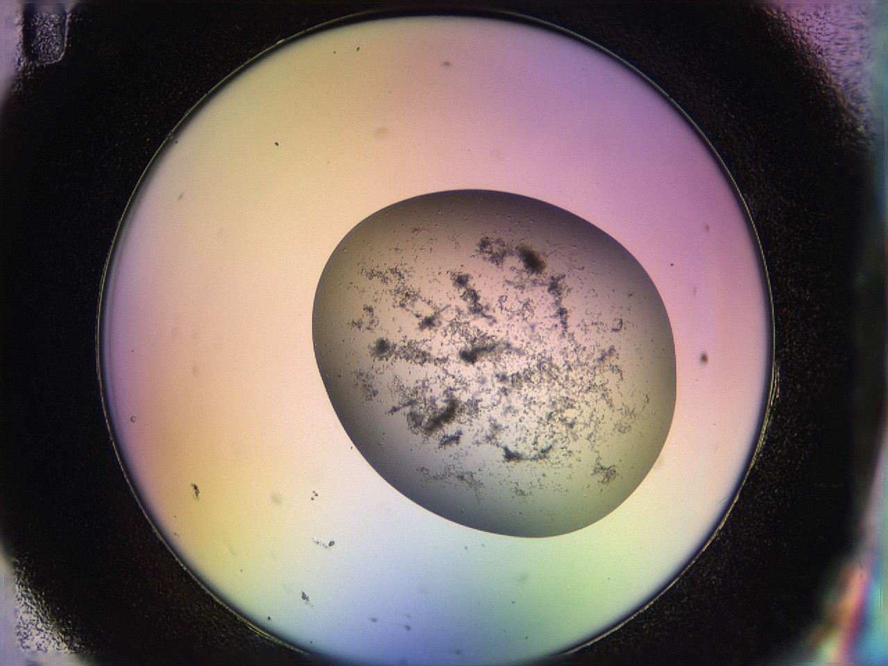 04uo_H11_ImagerDefaults_3.jpg