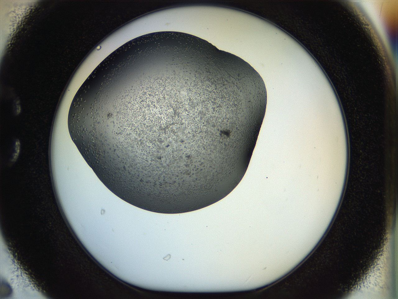 04v2_C6_ImagerDefaults_6.jpg