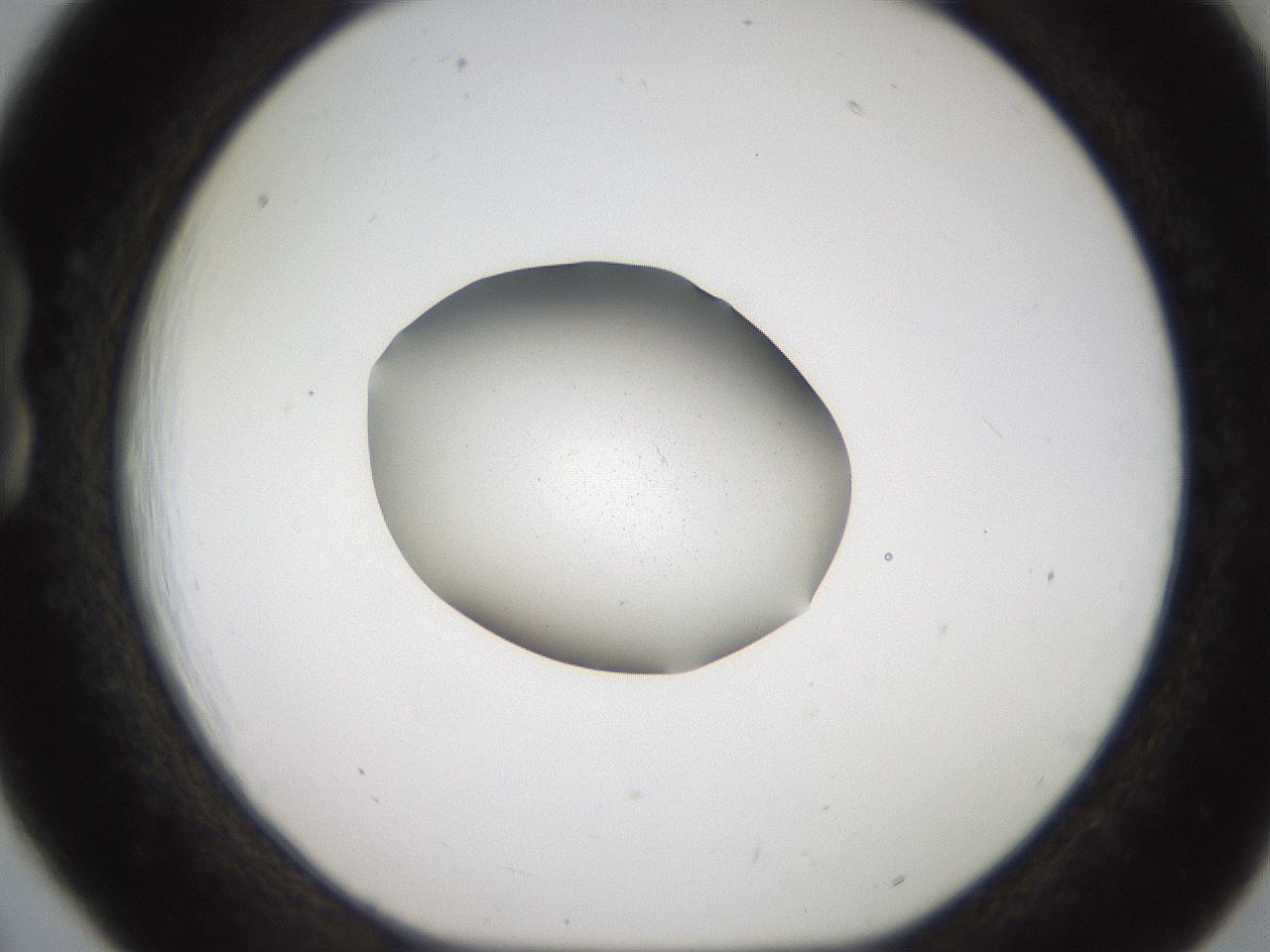 folderID269_plateID2269_batchID10929_wellNum18_profileID1_d1_r158361_ef.jpg