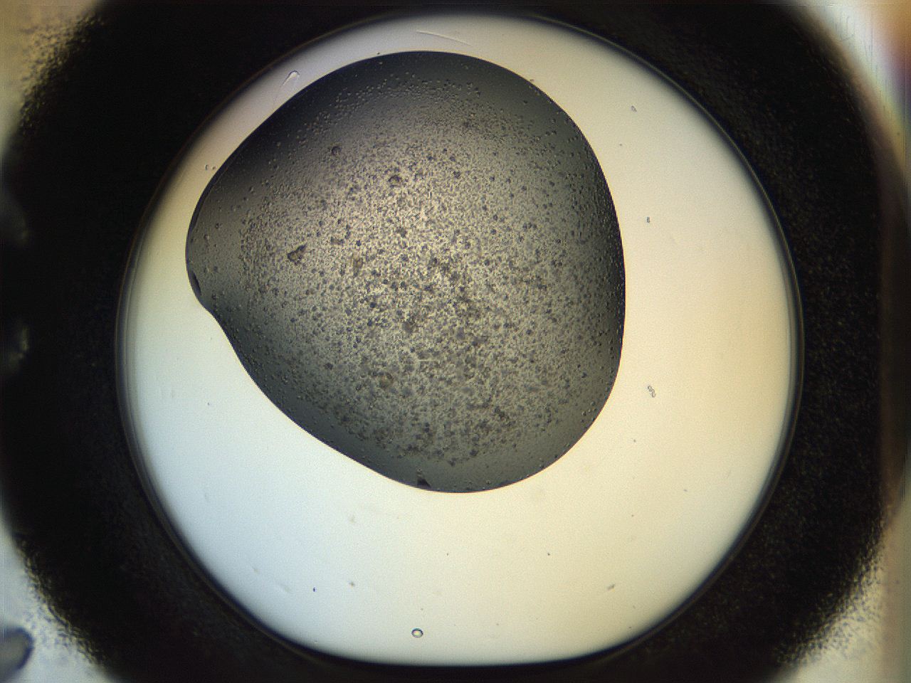 04v2_C7_ImagerDefaults_6.jpg