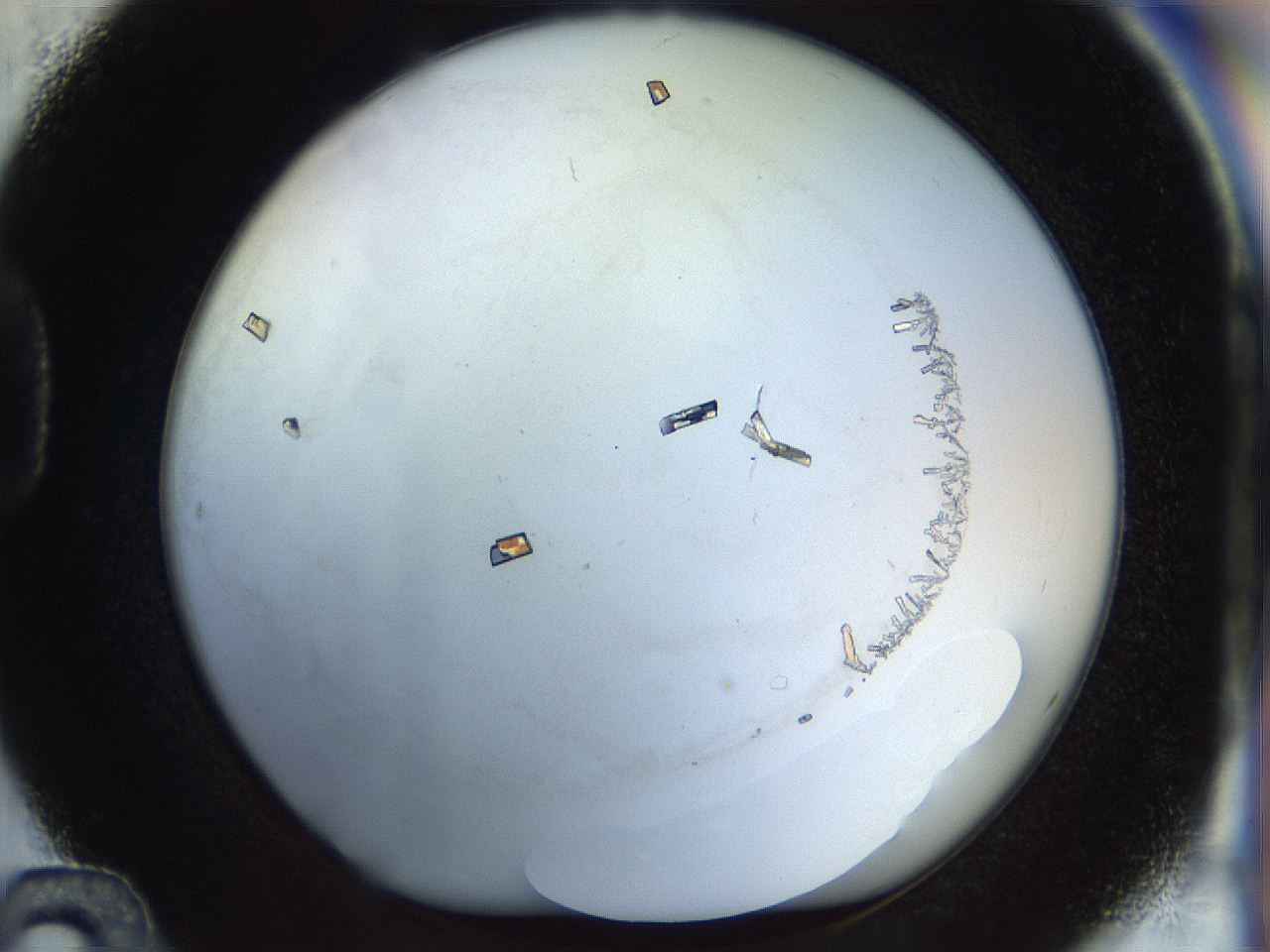 04v5_D12_ImagerDefaults_8.jpg