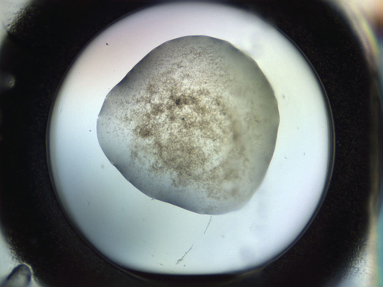04v7_F11_ImagerDefaults_8.jpg