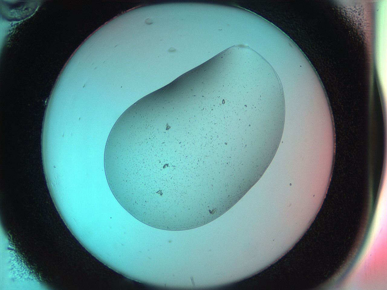 04va_C10_ImagerDefaults_3.jpg