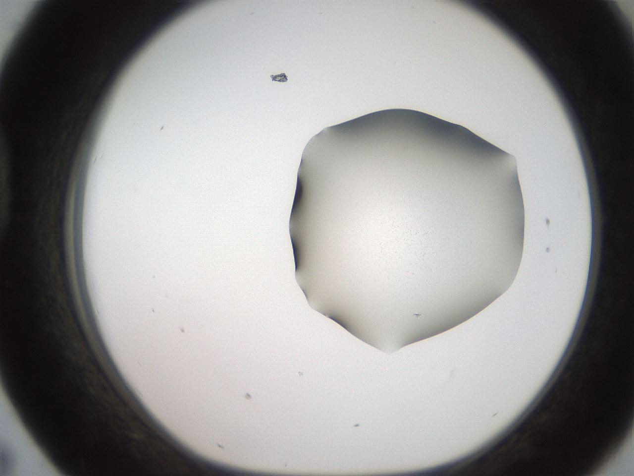 folderID271_plateID2271_batchID10437_wellNum43_profileID1_d1_r158482_ef.jpg