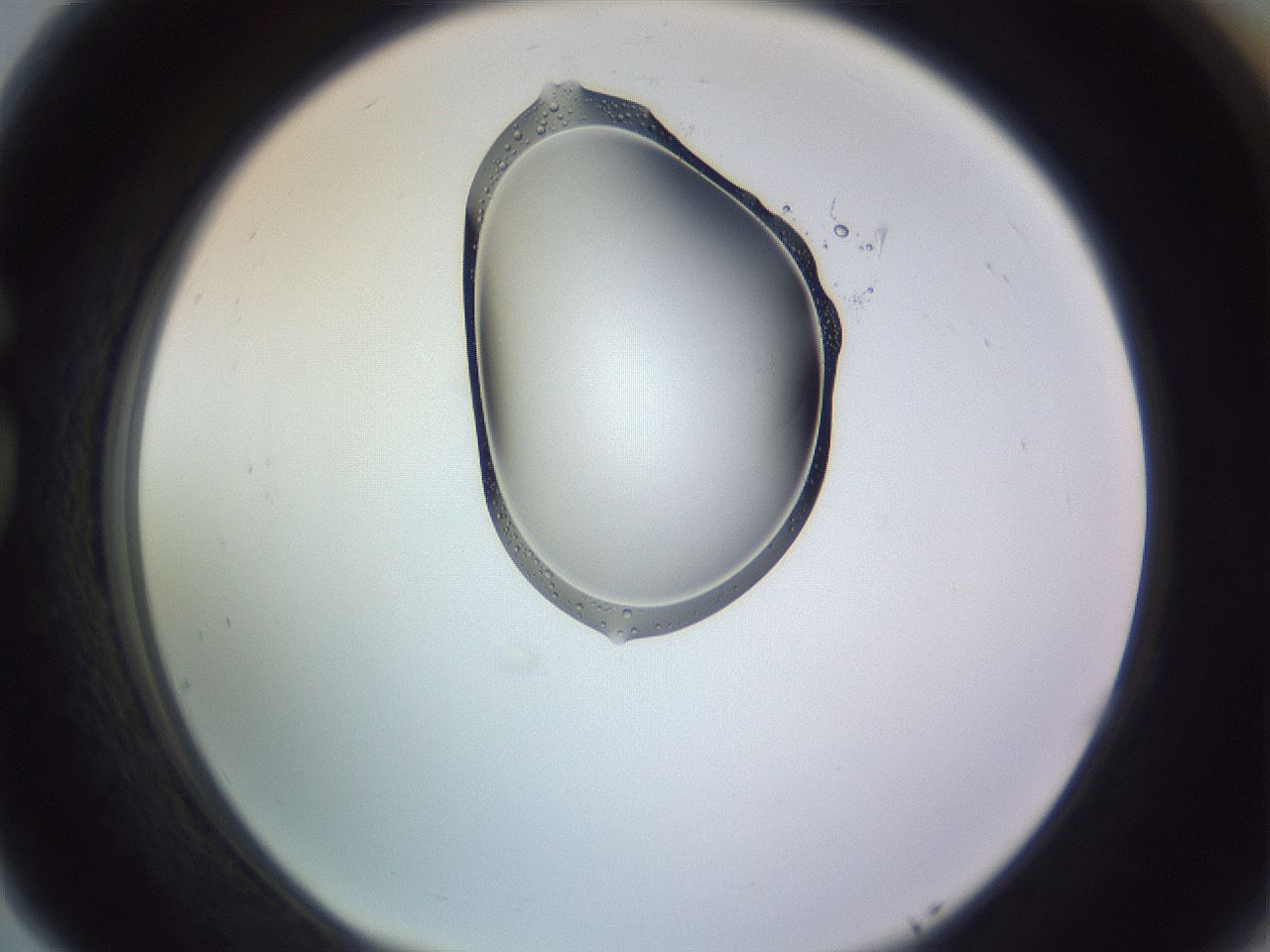folderID276_plateID1276_batchID3934_wellNum77_profileID1_d1_r73104_ef.jpg