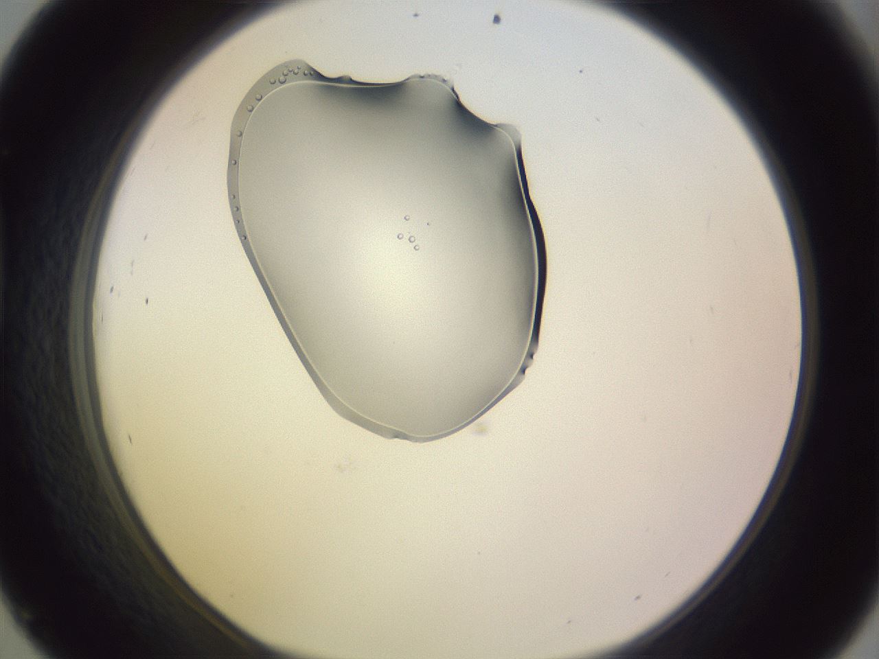 folderID276_plateID1276_batchID4873_wellNum45_profileID1_d1_r73040_ef.jpg