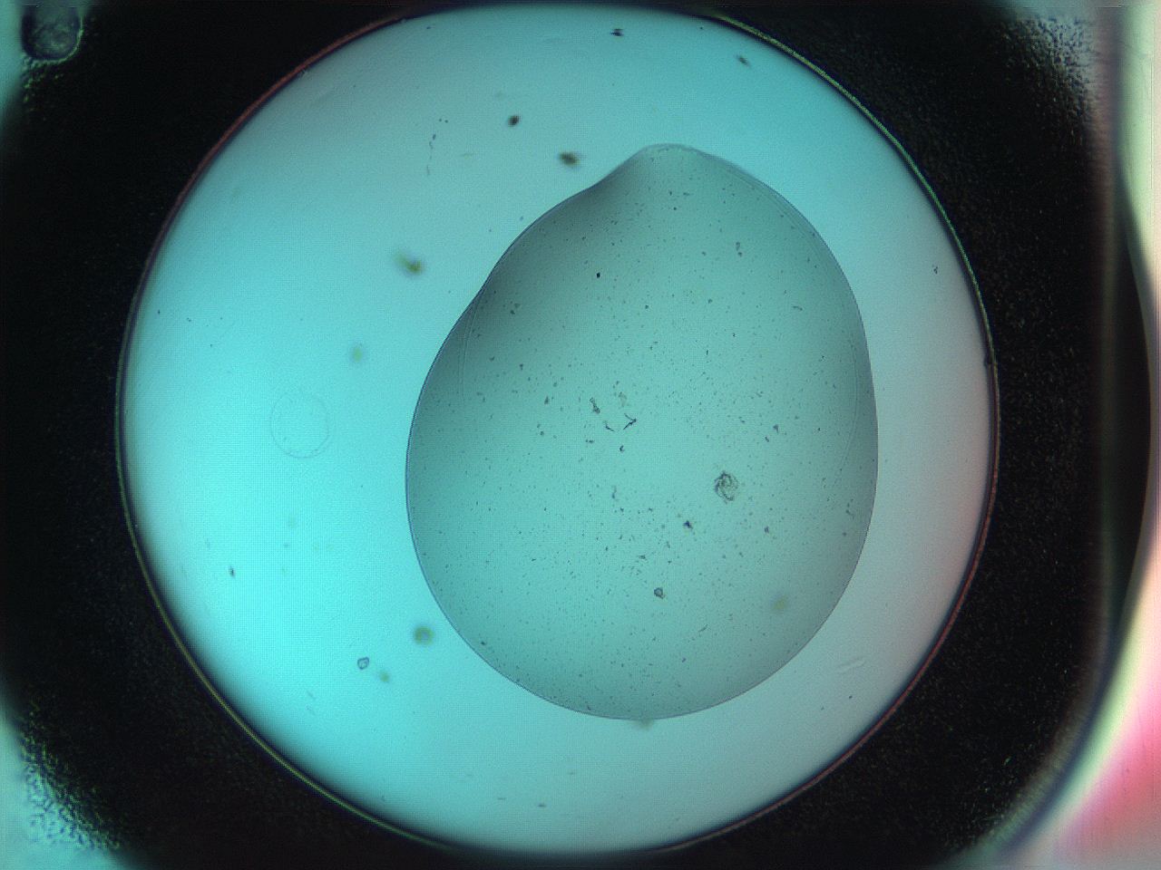 04va_D11_ImagerDefaults_0.jpg