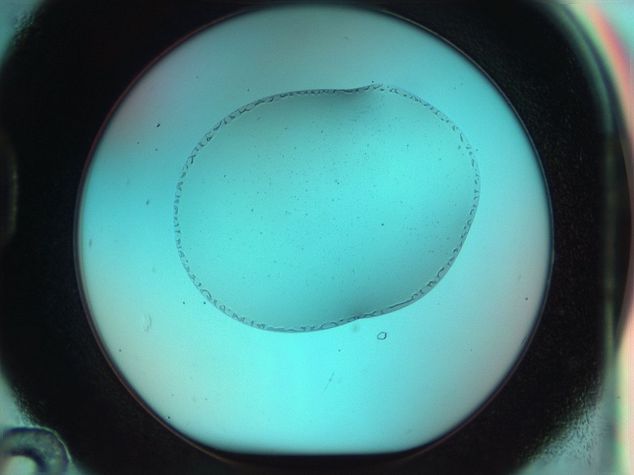 04va_D12_ImagerDefaults_3.jpg