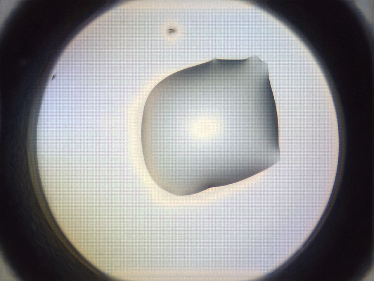 folderID279_plateID1279_batchID3891_wellNum44_profileID1_d1_r74958_ef.jpg