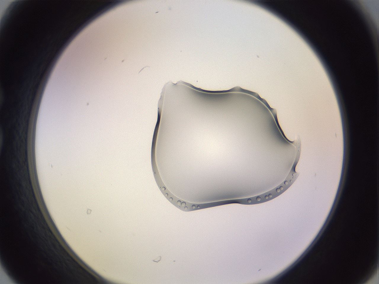 folderID279_plateID1279_batchID4065_wellNum30_profileID1_d1_r74930_ef.jpg