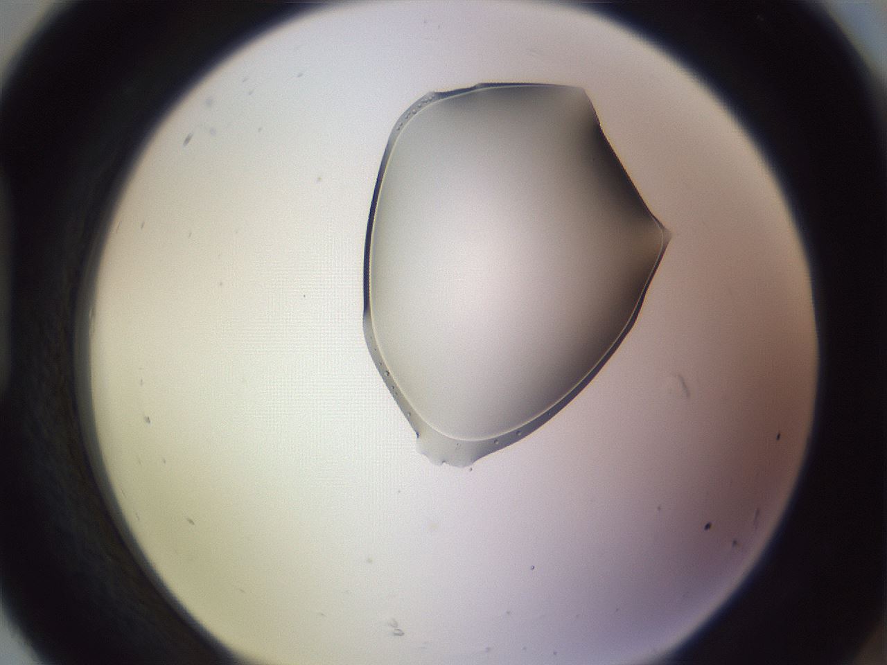 folderID279_plateID1279_batchID4065_wellNum92_profileID1_d1_r75054_ef.jpg