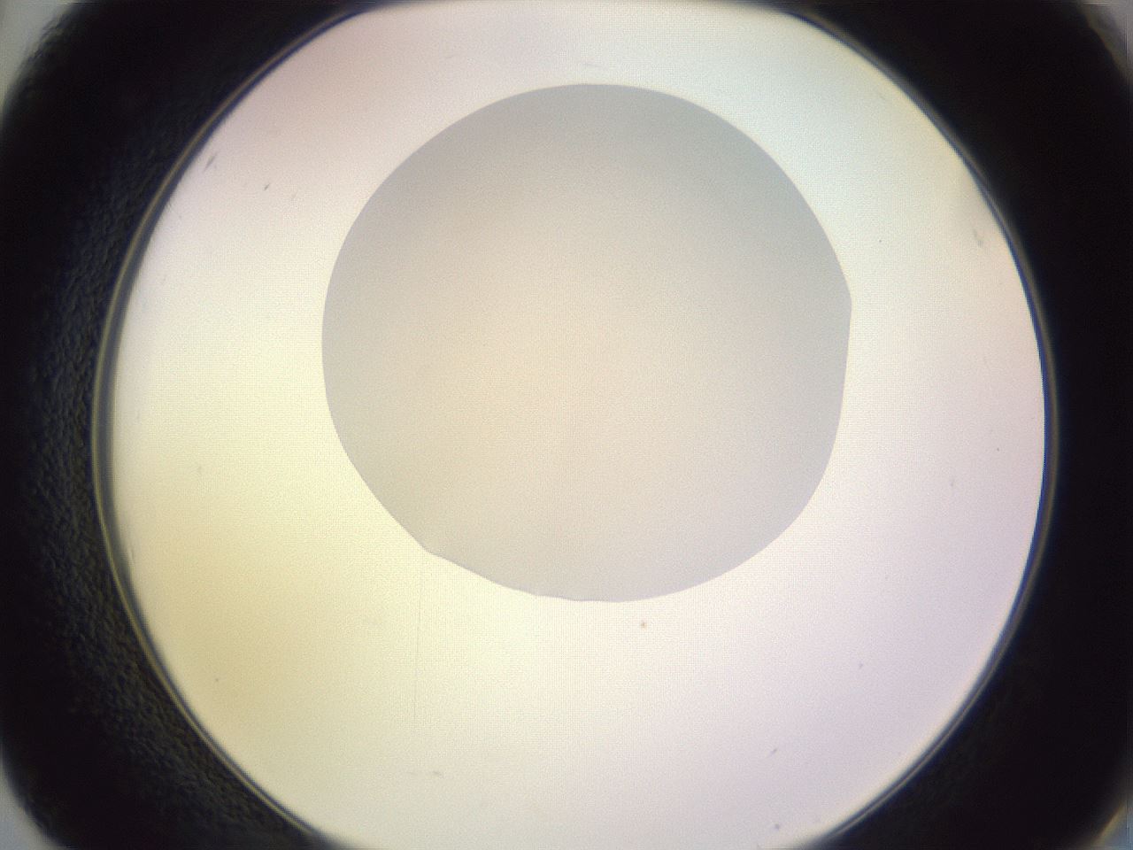 folderID279_plateID1279_batchID4641_wellNum50_profileID1_d2_r74971_ef.jpg