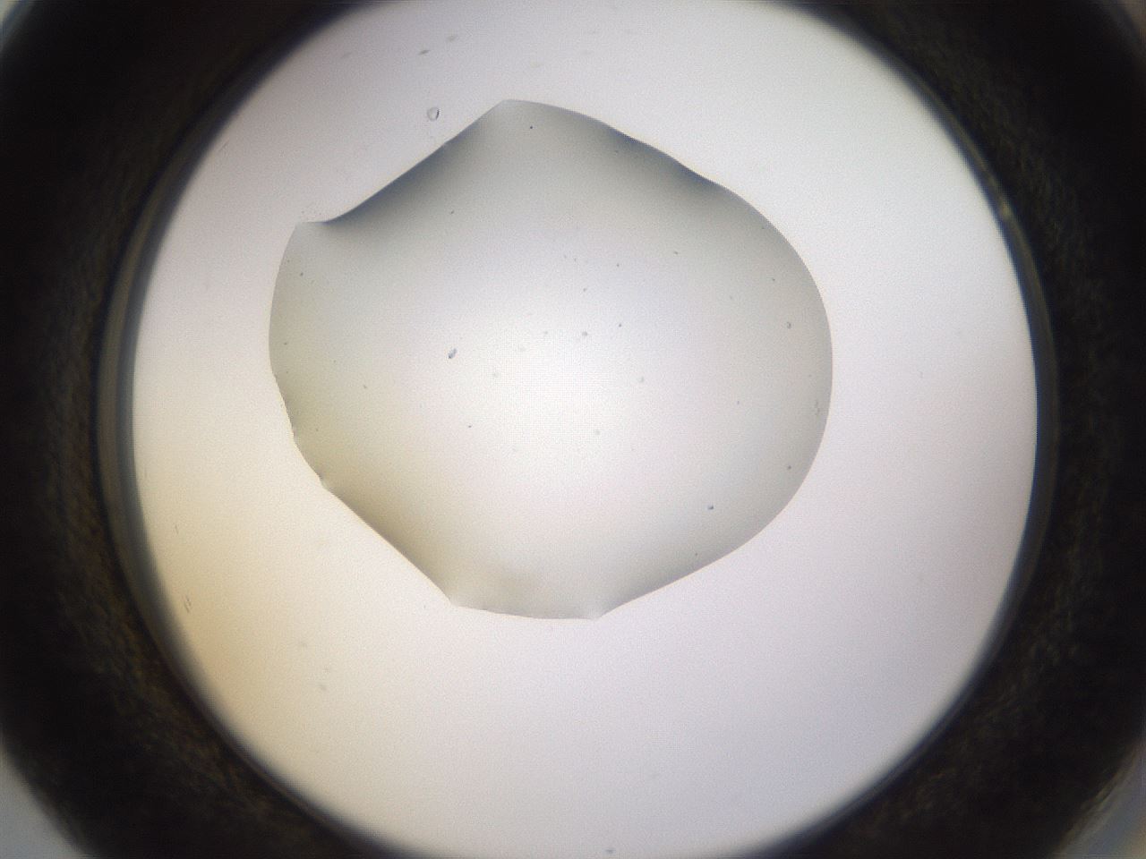 folderID279_plateID3279_batchID18774_wellNum80_profileID1_d2_r289108_ef.jpg