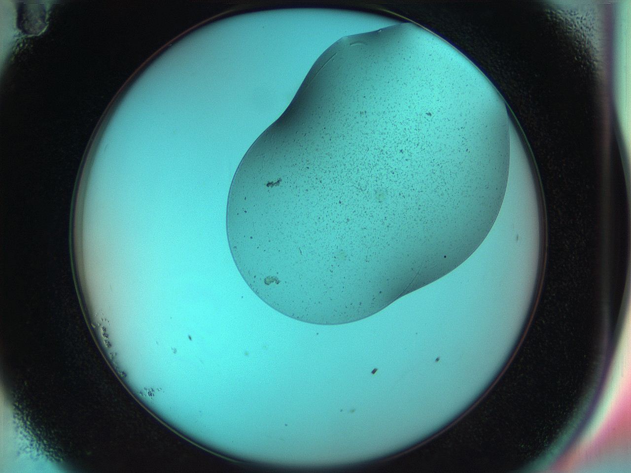 04va_B11_ImagerDefaults_3.jpg