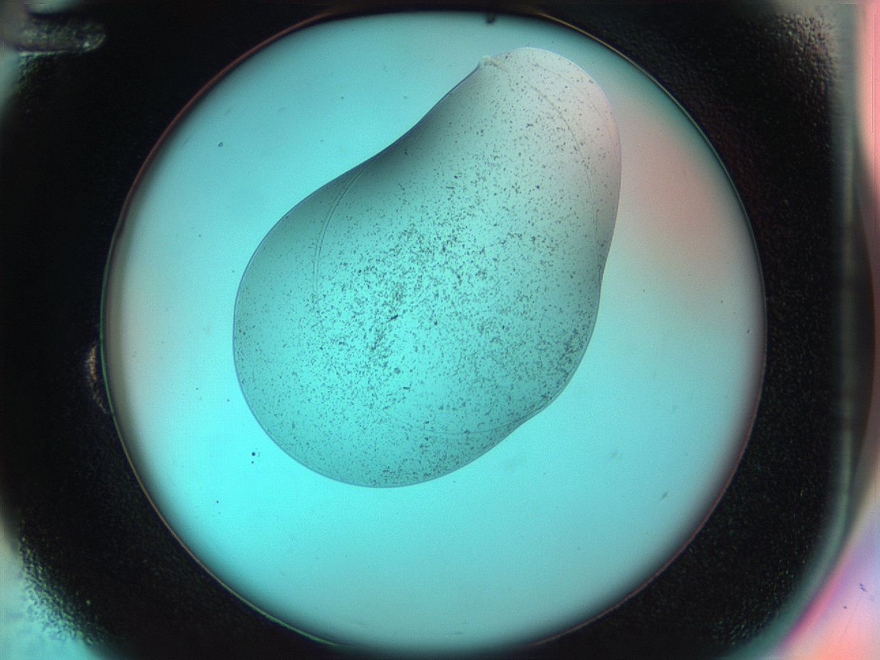 04va_B12_ImagerDefaults_3.jpg
