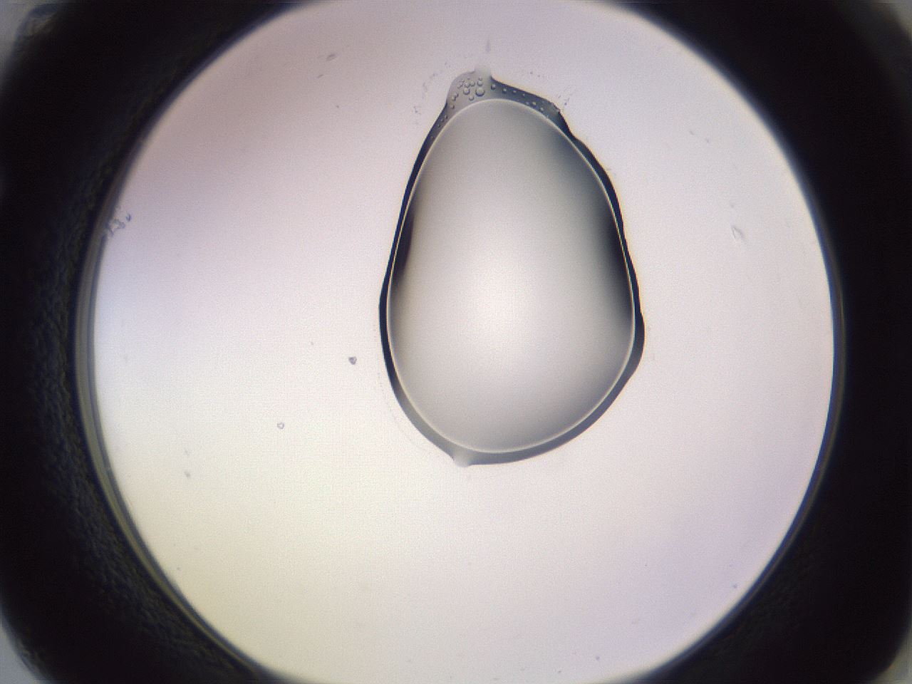 folderID280_plateID1280_batchID4107_wellNum61_profileID1_d1_r75376_ef.jpg