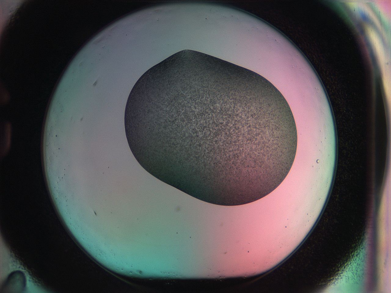 04va_G11_ImagerDefaults_3.jpg