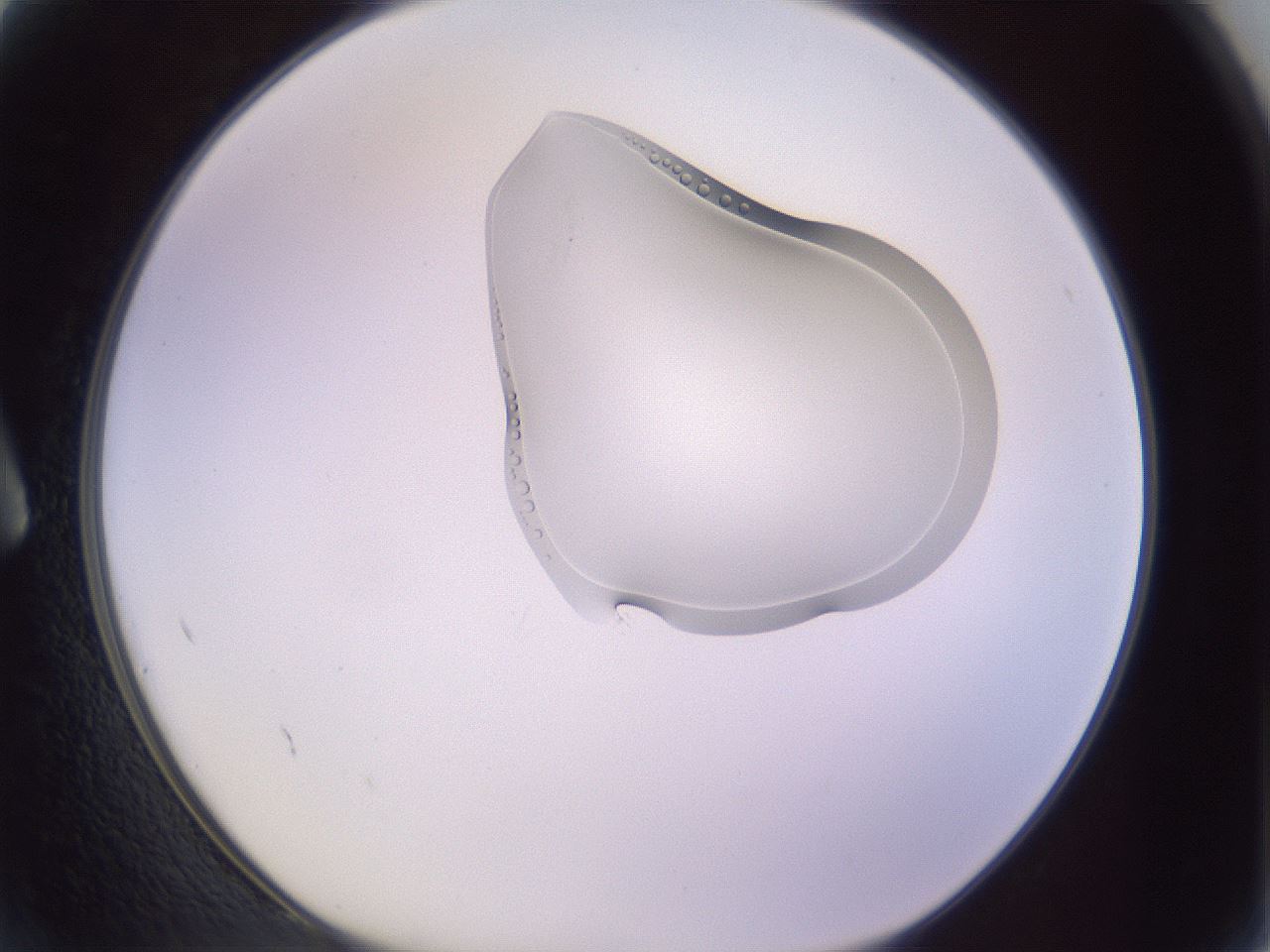 folderID281_plateID1281_batchID4071_wellNum2_profileID1_d1_r75834_ef.jpg