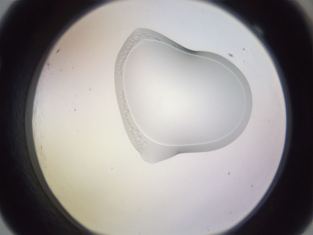 folderID281_plateID1281_batchID4147_wellNum69_profileID1_d1_r75968_ef.jpg