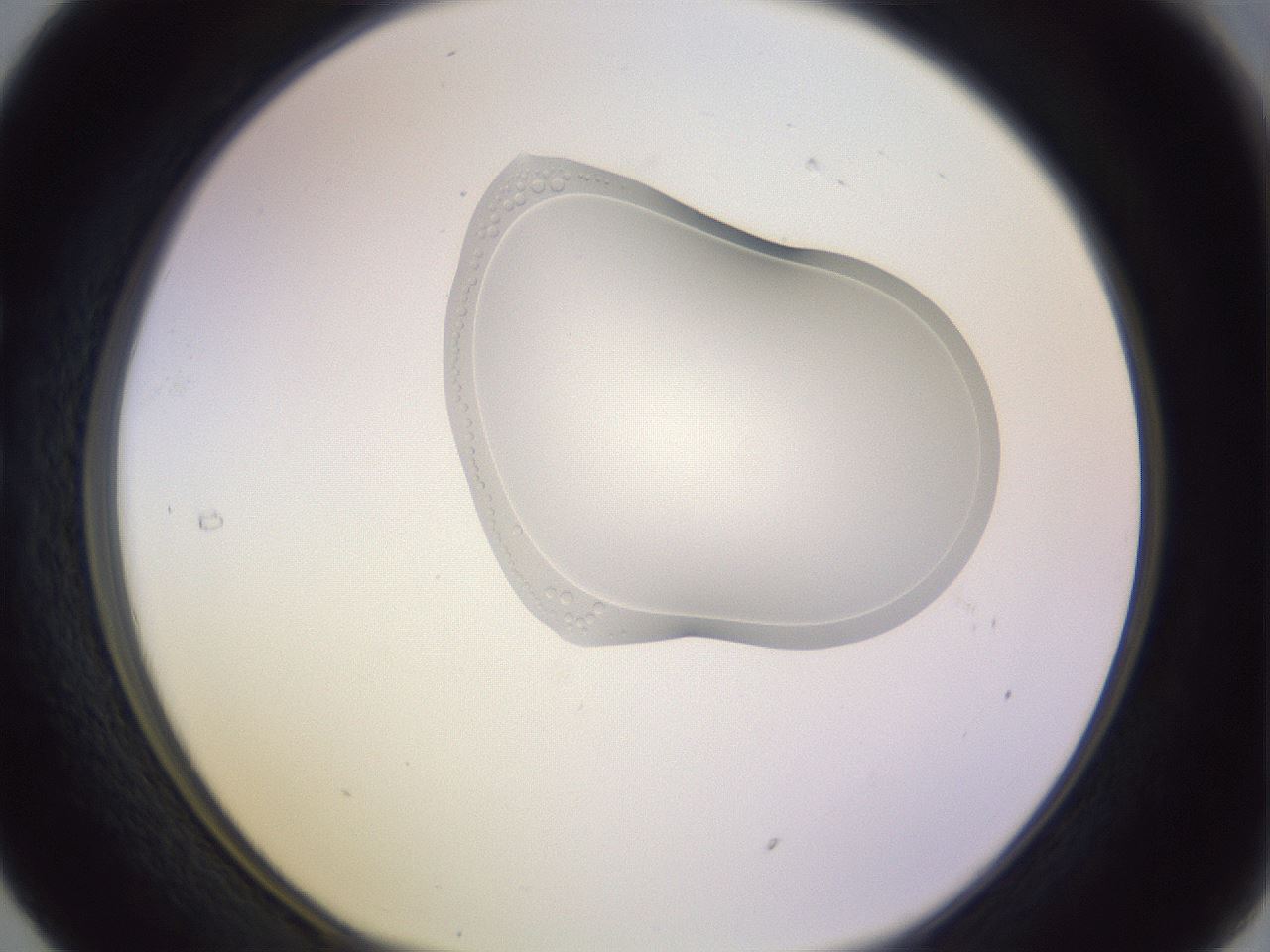 folderID281_plateID1281_batchID4424_wellNum29_profileID1_d1_r75888_ef.jpg