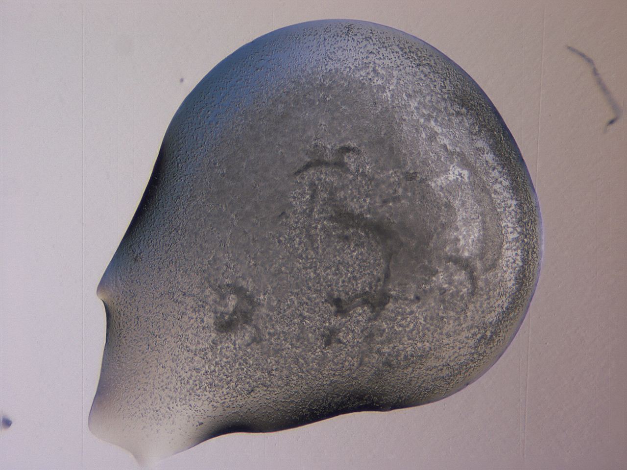 04vc_A4_ImagerDefaults_3.jpg