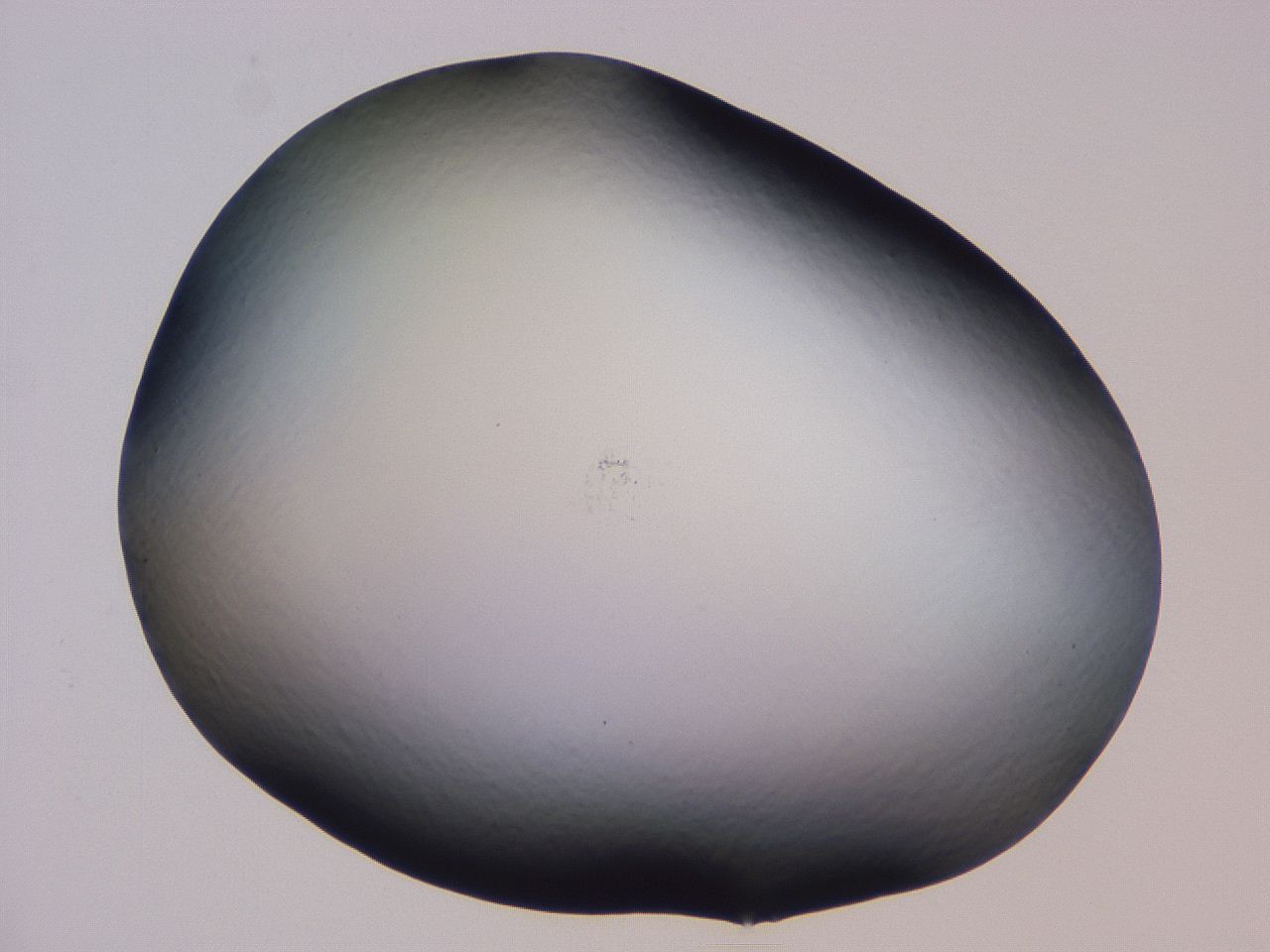 04vc_B2_ImagerDefaults_0.jpg
