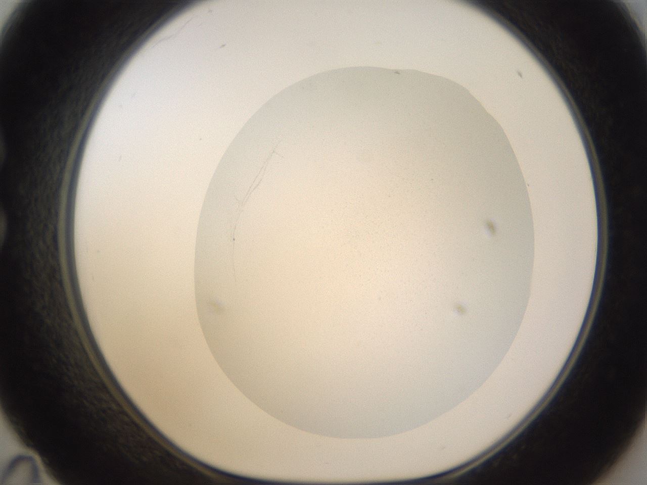 folderID281_plateID3281_batchID19046_wellNum35_profileID1_d1_r289593_ef.jpg
