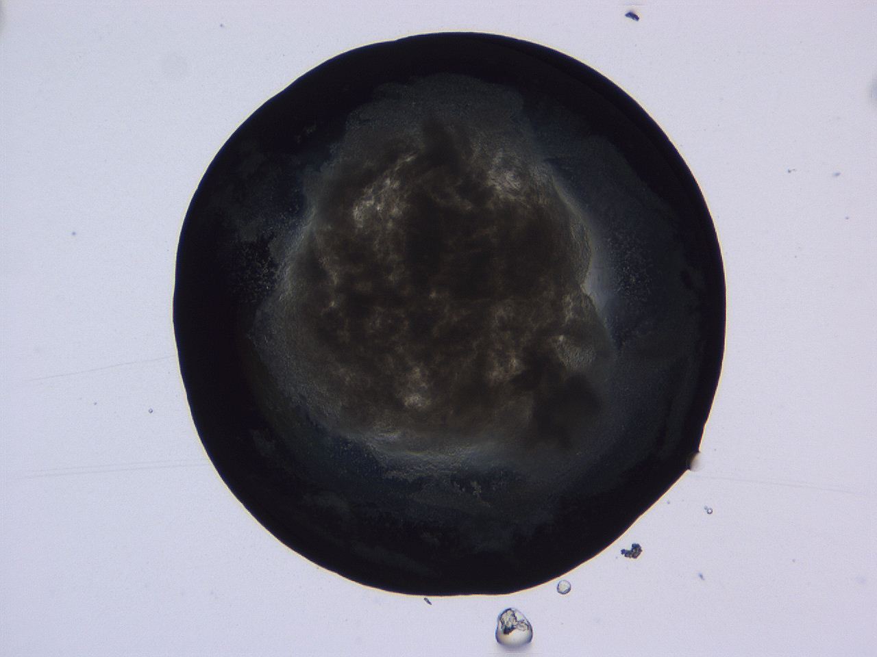 04vc_B11_ImagerDefaults_3.jpg