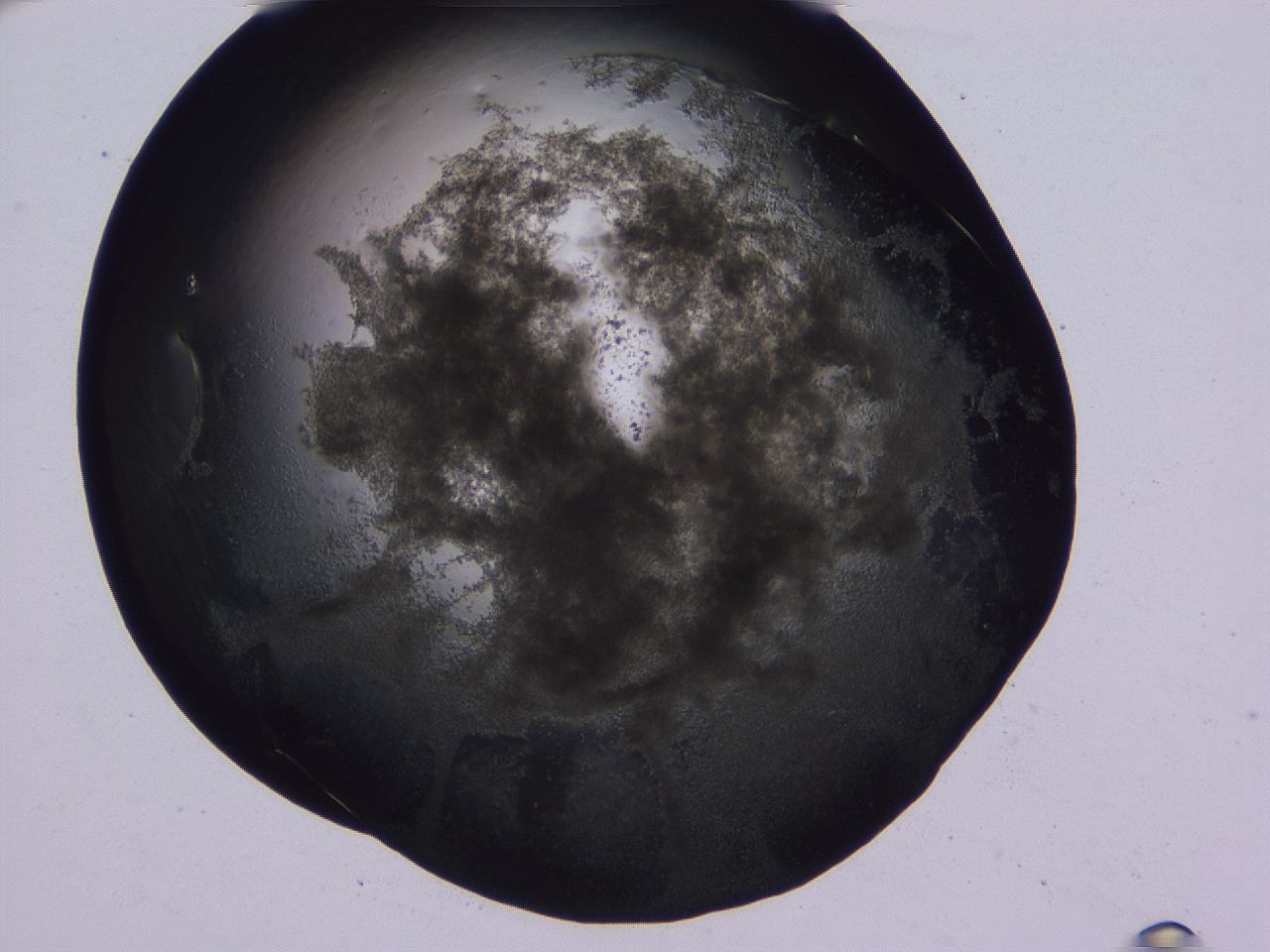04vc_B12_ImagerDefaults_3.jpg
