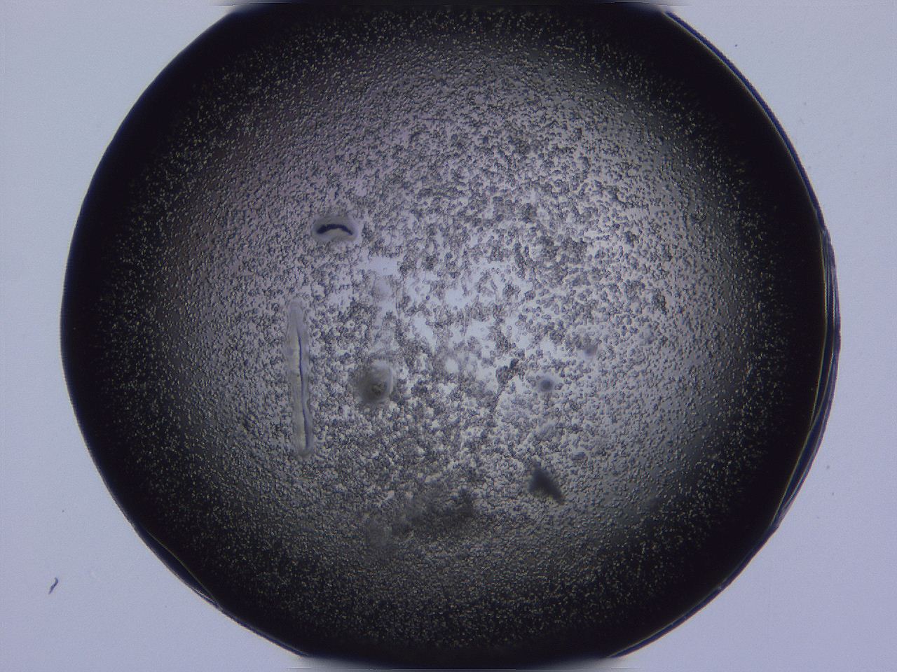 04vc_C1_ImagerDefaults_3.jpg