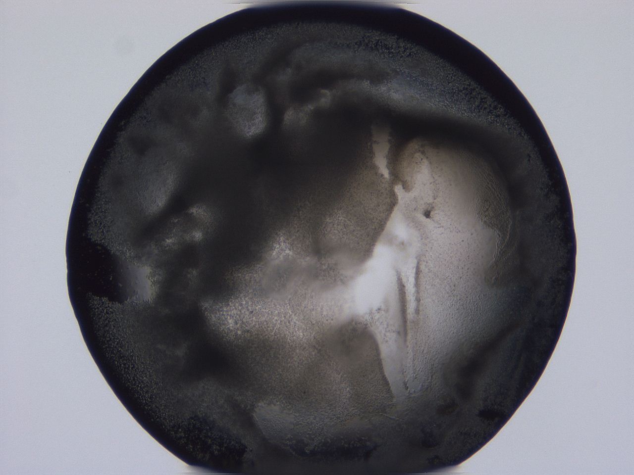 04vc_D5_ImagerDefaults_3.jpg