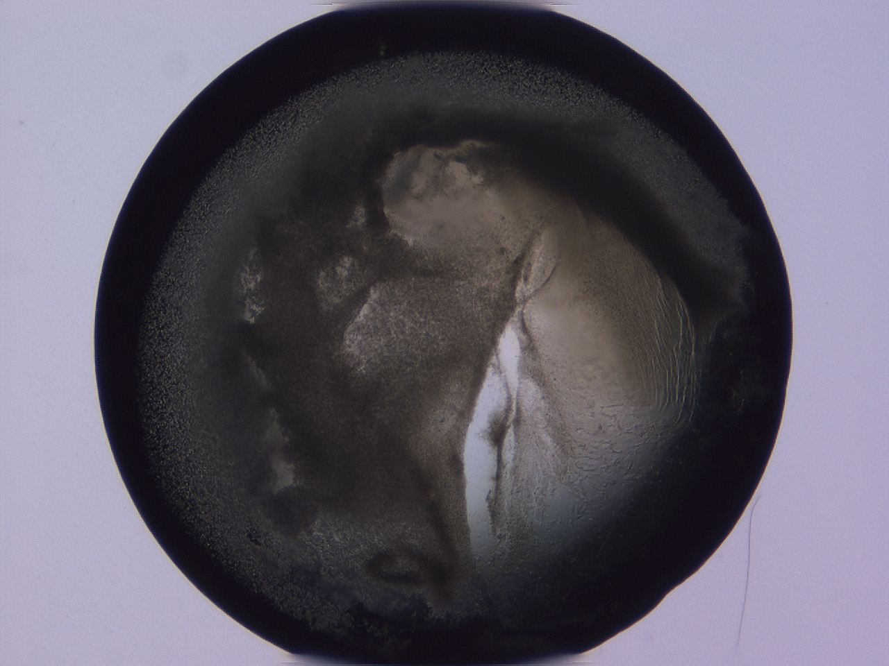 04vc_D6_ImagerDefaults_3.jpg