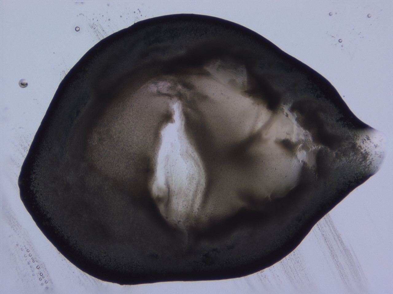 04vc_D10_ImagerDefaults_3.jpg