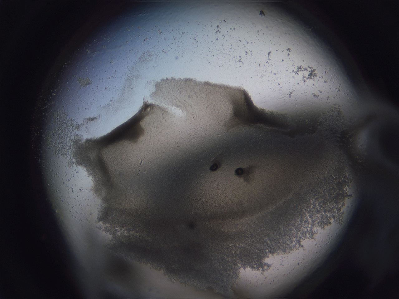 04vc_E1_ImagerDefaults_3.jpg