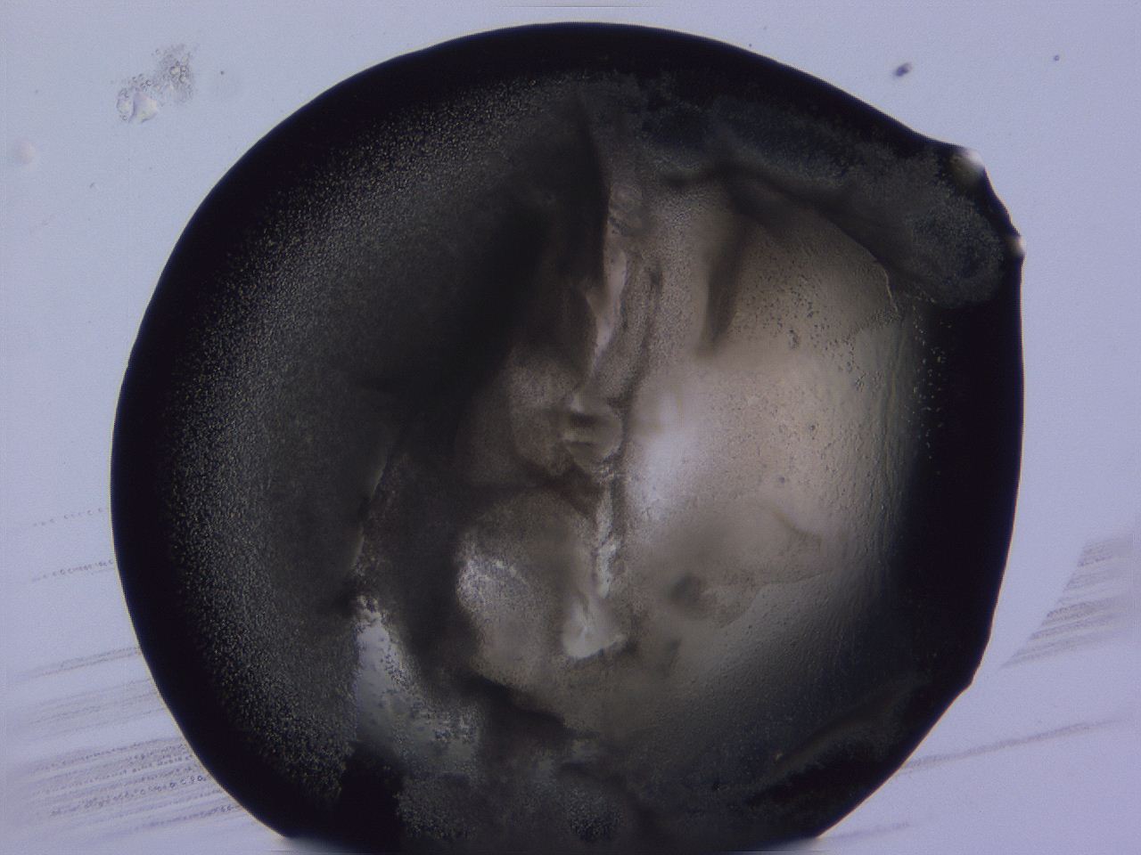 04vc_E6_ImagerDefaults_3.jpg