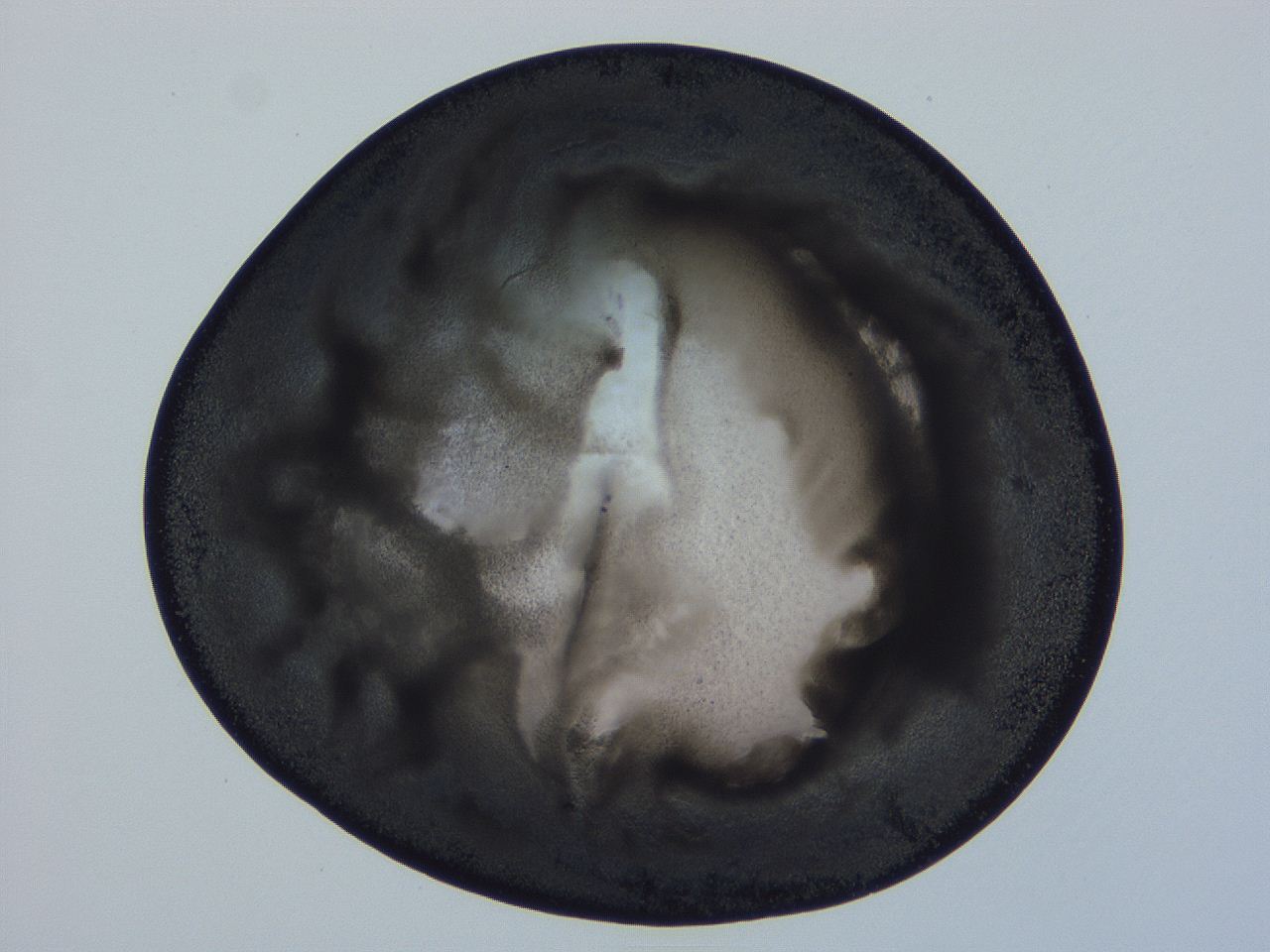 04vc_F2_ImagerDefaults_3.jpg